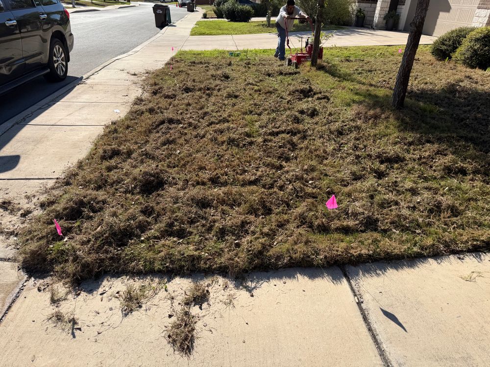 All Photos for DR Landscape in San Antonio, TX