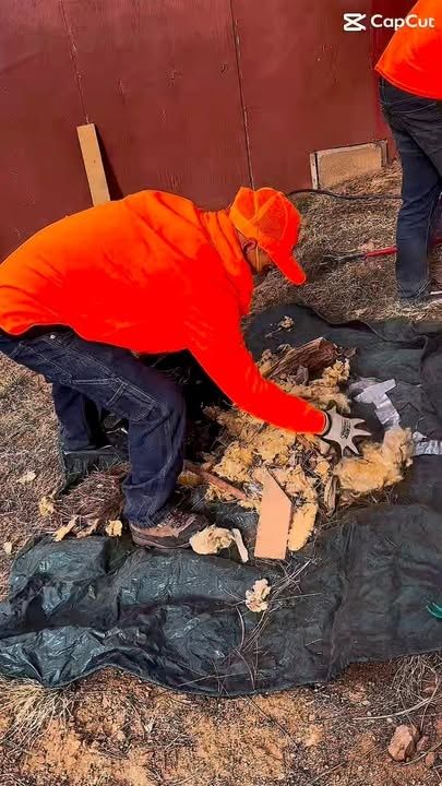 All Photos for G&B Yard Service in Ruidoso Downs, NM