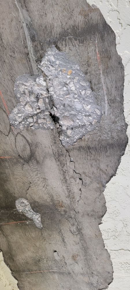 All Photos for Millenium Construction & Property Management in Tampa, FL