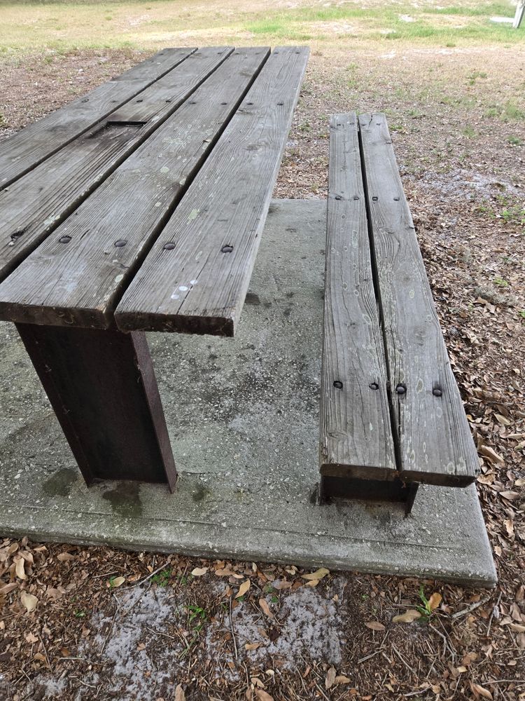 All Photos for Above the Lawn Cuts and Pressure Washing in Sebring, FL