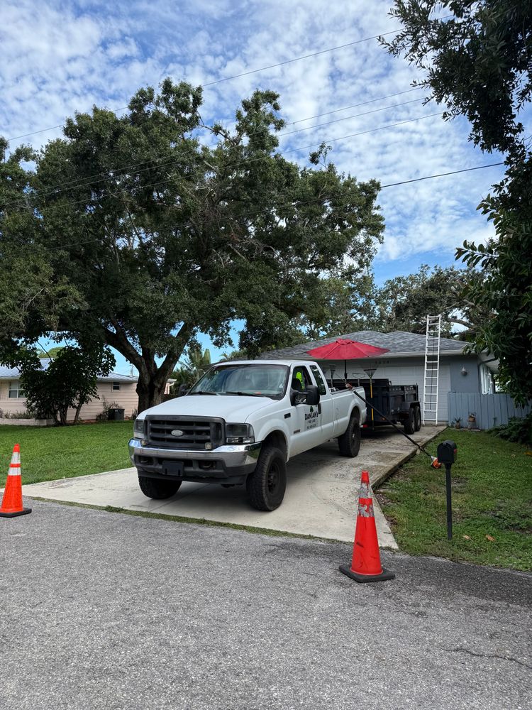 Tree Removal for Damian’s Tree Care in Sarasota, FL