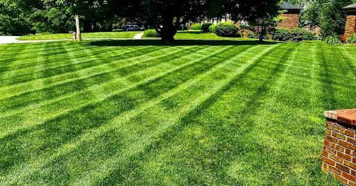 All Photos for JKL Lawn Service in Frankfort, KY