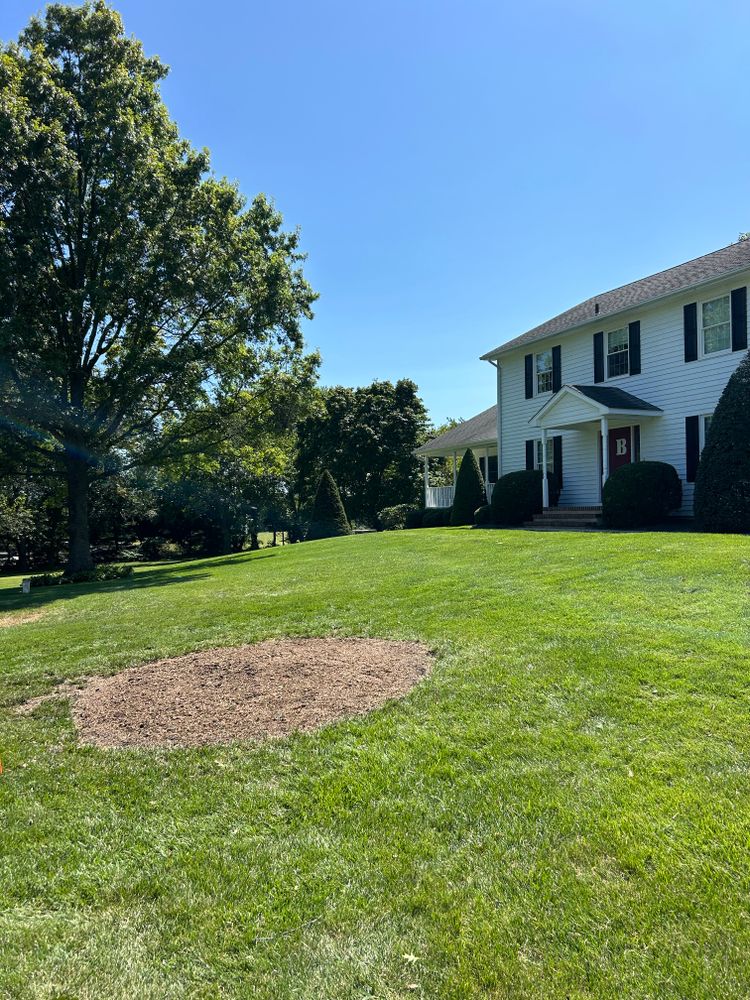 All Photos for Hingewood Tree Service in Salem, NJ