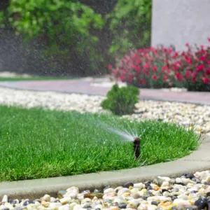 Enhance your garden with our high-quality irrigation supplies, ensuring efficient water distribution and healthier plants. We offer expert advice and reliable products tailored to meet all your landscaping needs. for Bianchi Business Development in Southport, NC