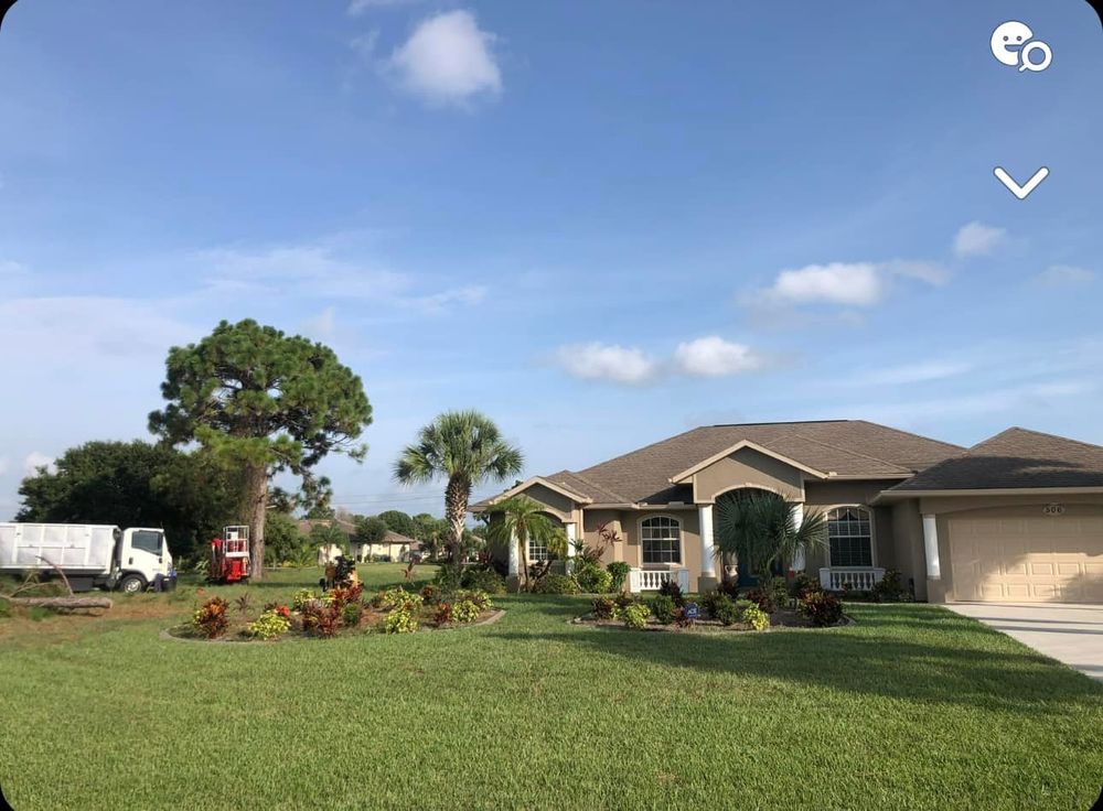 Tree Removal for MX Trees LLC in Englewood, FL
