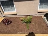 Landscape Installation for Hefty's Helpers in Saint Petersburg,  FL