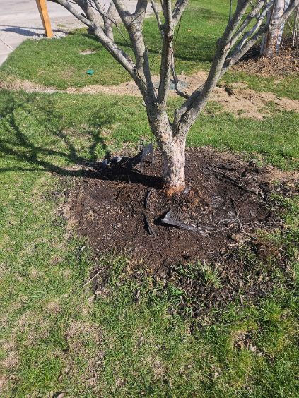 All Photos for Stafford.Works in Brownsburg, IN