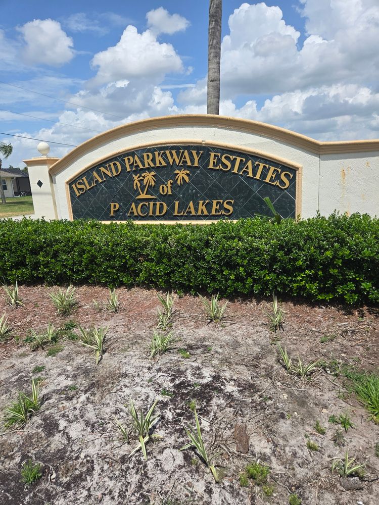All Photos for Above the Lawn Cuts and Pressure Washing in Sebring, FL