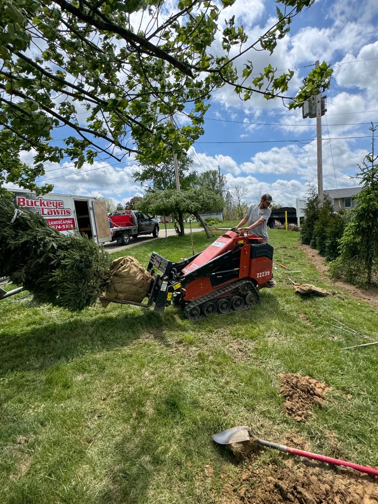 All Photos for Buckeye Lawns & Landscaping LLC in Millersburg, OH