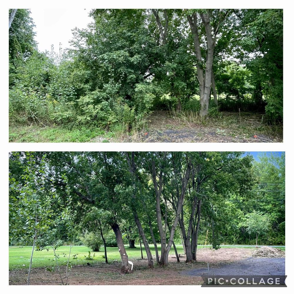 All Photos for Bishop’s Property Maintenance in Franklin, VT