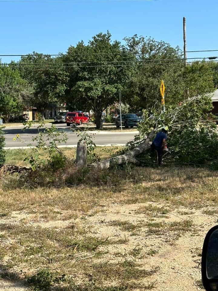 All Photos for Green Turf Landscaping in Kyle, TX