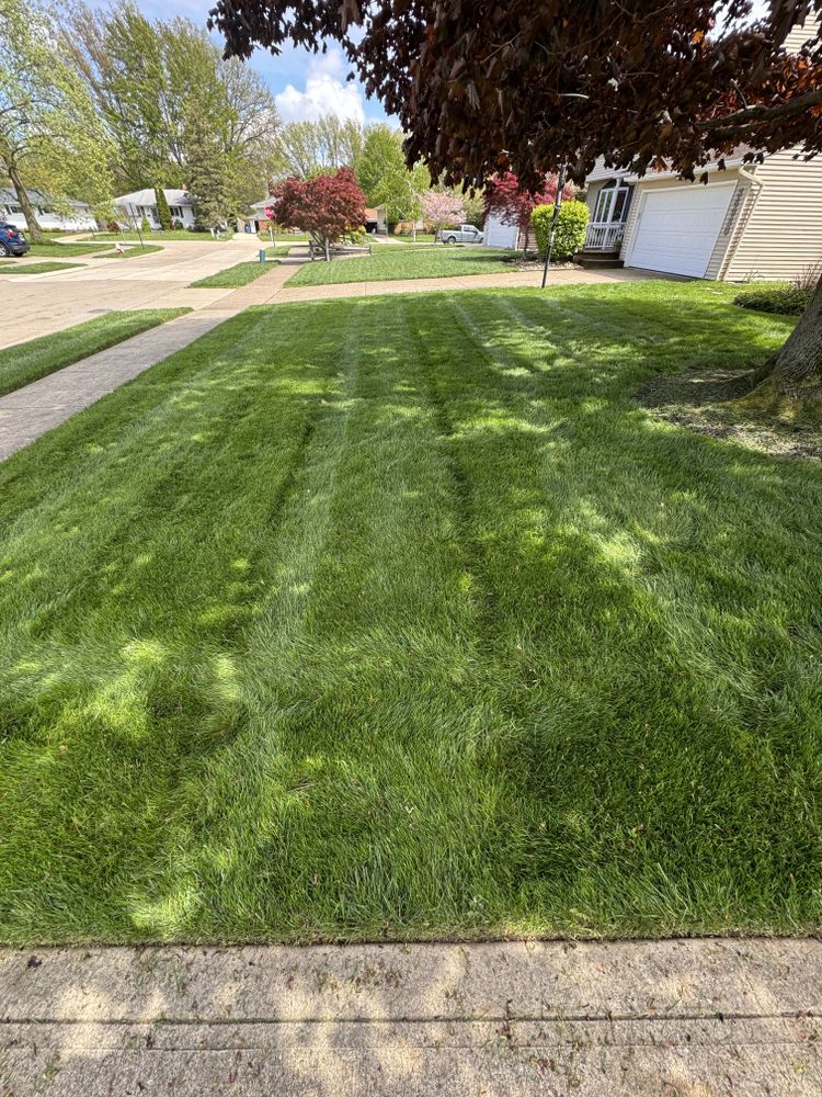 All Photos for Yard Theory L.L.C. in Willowick, OH