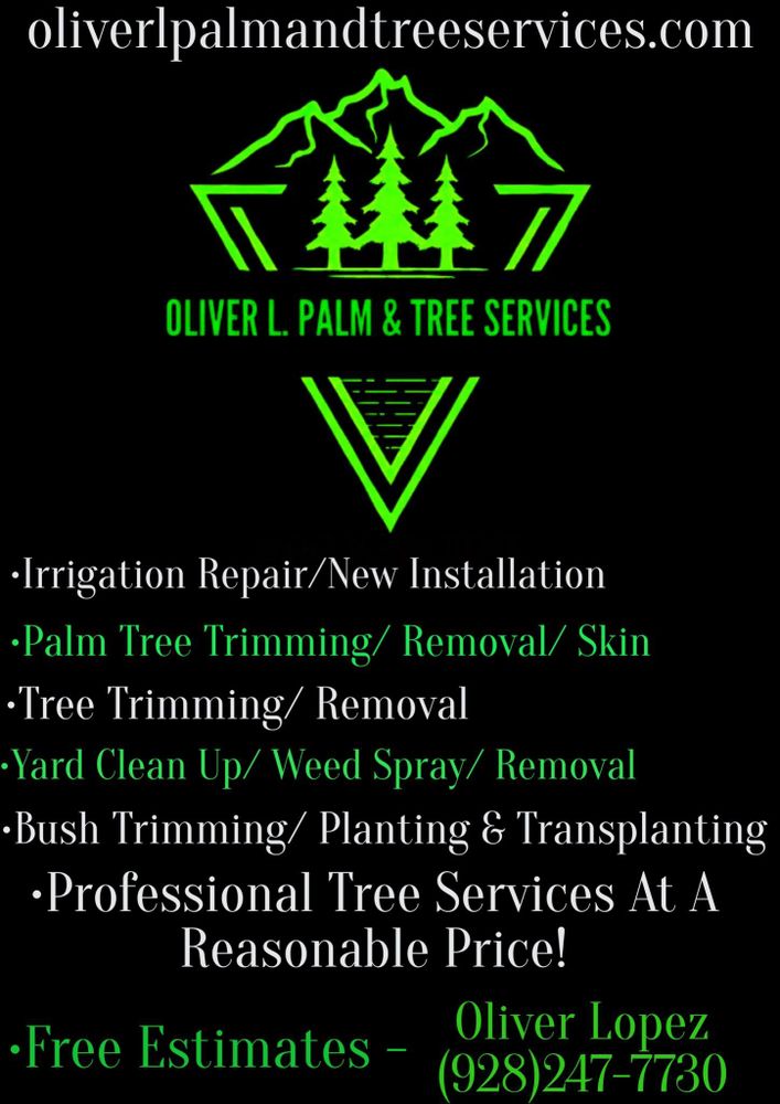 All Photos for Oliver L. Palm & Tree services in Yuma County, AZ