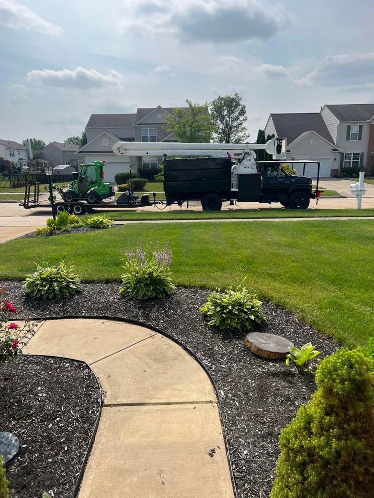 Tree Removal for Down To Earth Tree Service, LLC in Olmsted Falls, OH