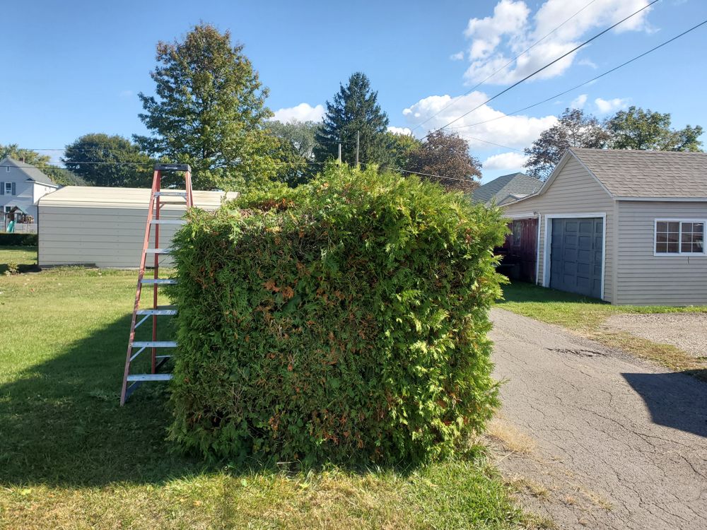 All Photos for Down Home Landscaping in Stillwater, PA