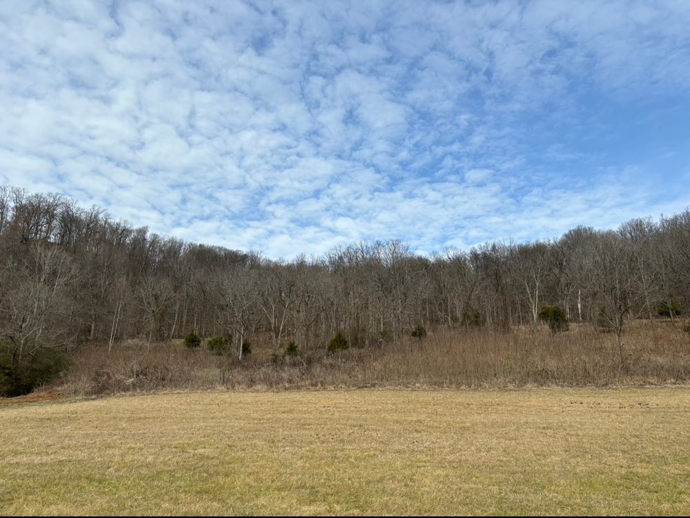 All Photos for Gregory Grass and Lawn in Lafayette, TN