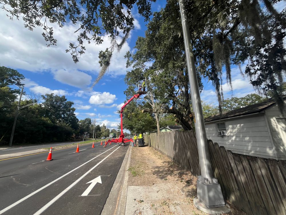 All Photos for Top Notch Tree Experts in Orange Park, FL