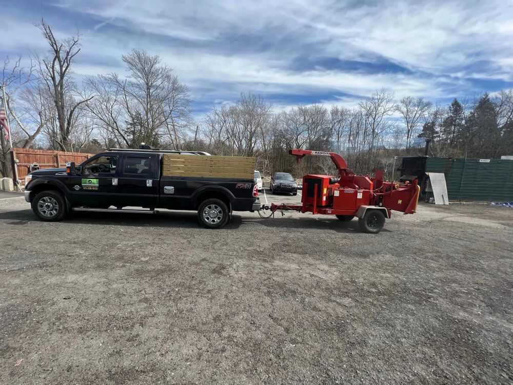 Tree Trimming and Removal for DIAZ TREE in Stafford, VA