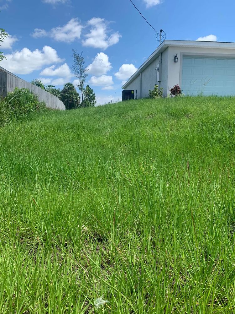All Photos for Space Coast Property Maintenance and Management LLC in Melbourne, FL