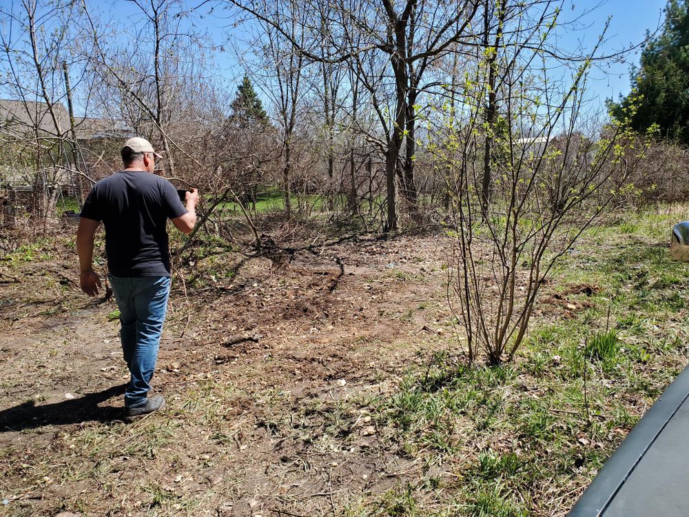 Yard for Blue Eagle Junk Removal in Oakland County, MI