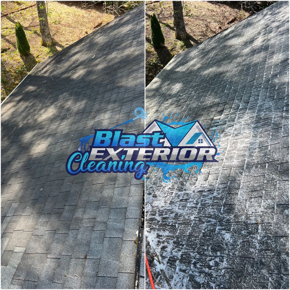 Roof Washing for Blast Exterior Cleaning in  Hendersonville, NC