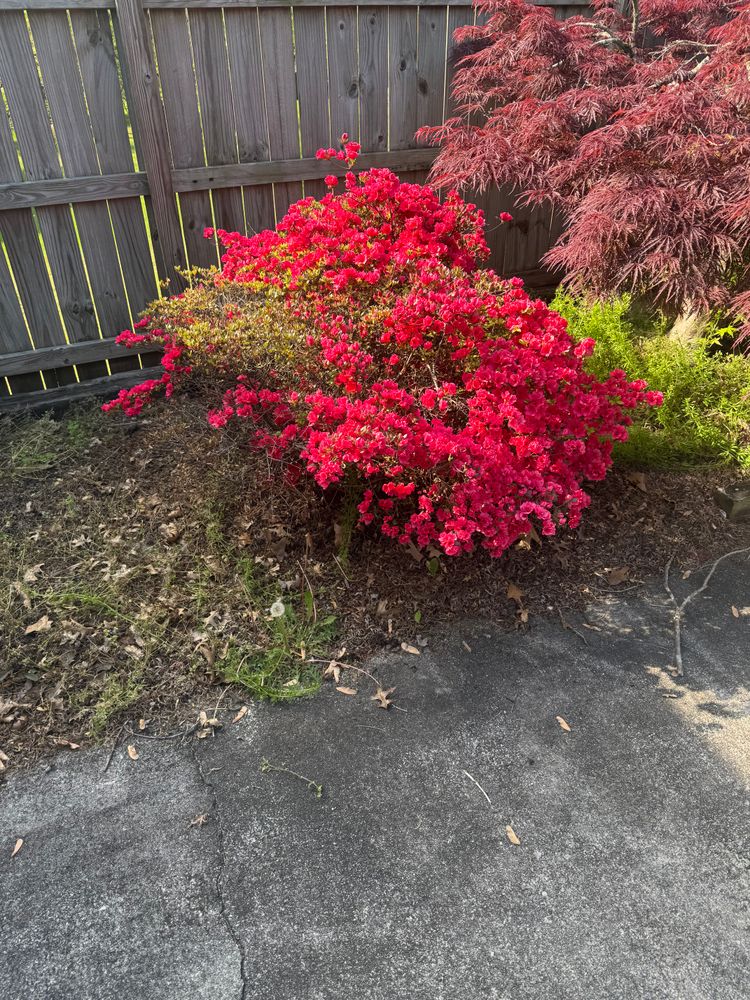 Lawn care and Landscaping for R&M Property Maintenance in Blount County, TN