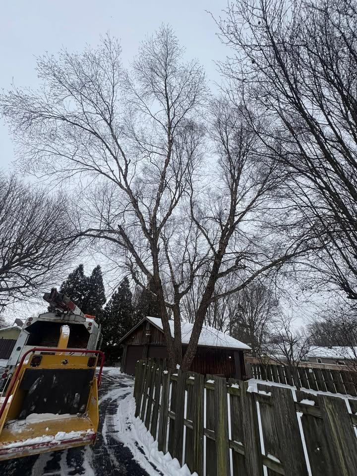 All Photos for Dig-It Tree Company in Mason, OH