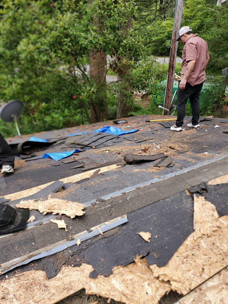 All Photos for Home Pros in Maple Falls, WA