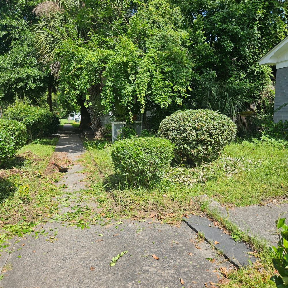 Lawn Care for Ready Set Go Lawncare Services in Savannah, GA