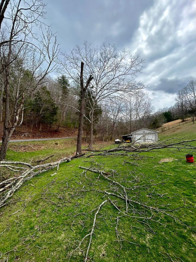 All Photos for NRV Tree Pro, LLC in Narrows, VA