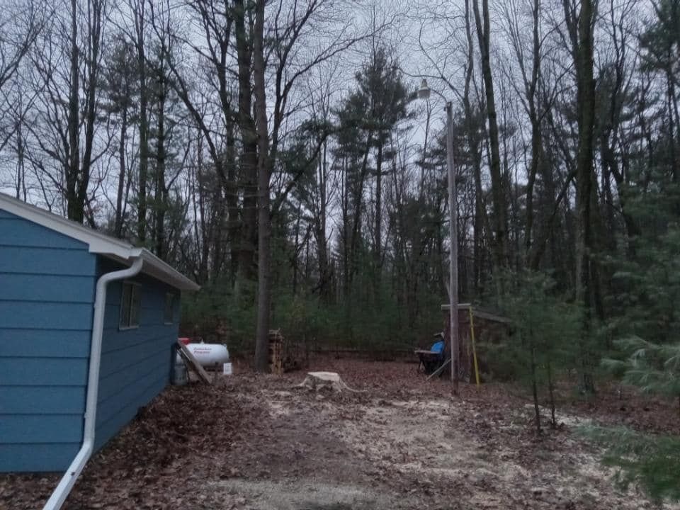 Tree Removal for A.M. Forestry LLC in Nekoosa, WI