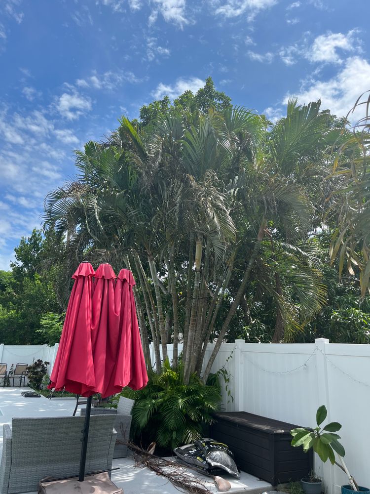 All Photos for Space Coast Property Maintenance and Management LLC in Melbourne, FL