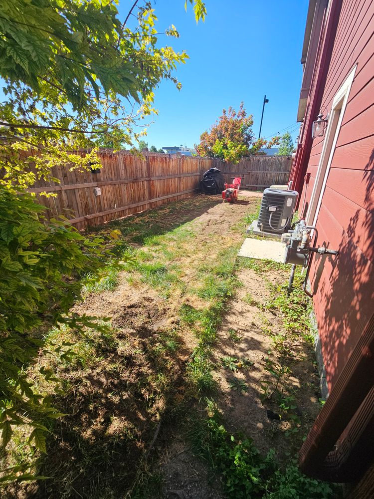 All Photos for NGL Landscape Company in Denver, CO