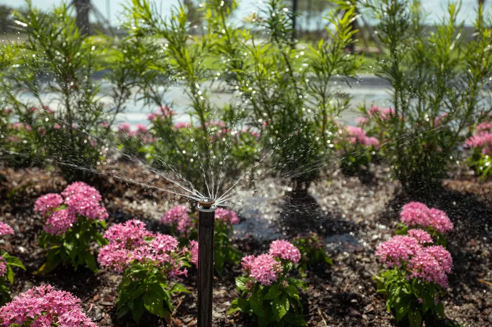 Landscape for Arazoza Brothers Corporation in Miami, FL