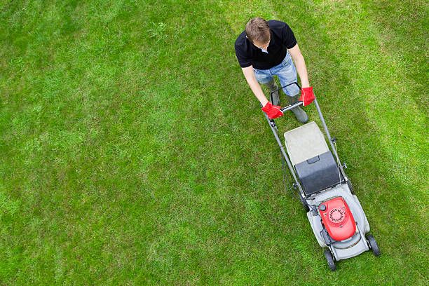 All Photos for Miller Mowing and Maintenance in San Antonio, TX