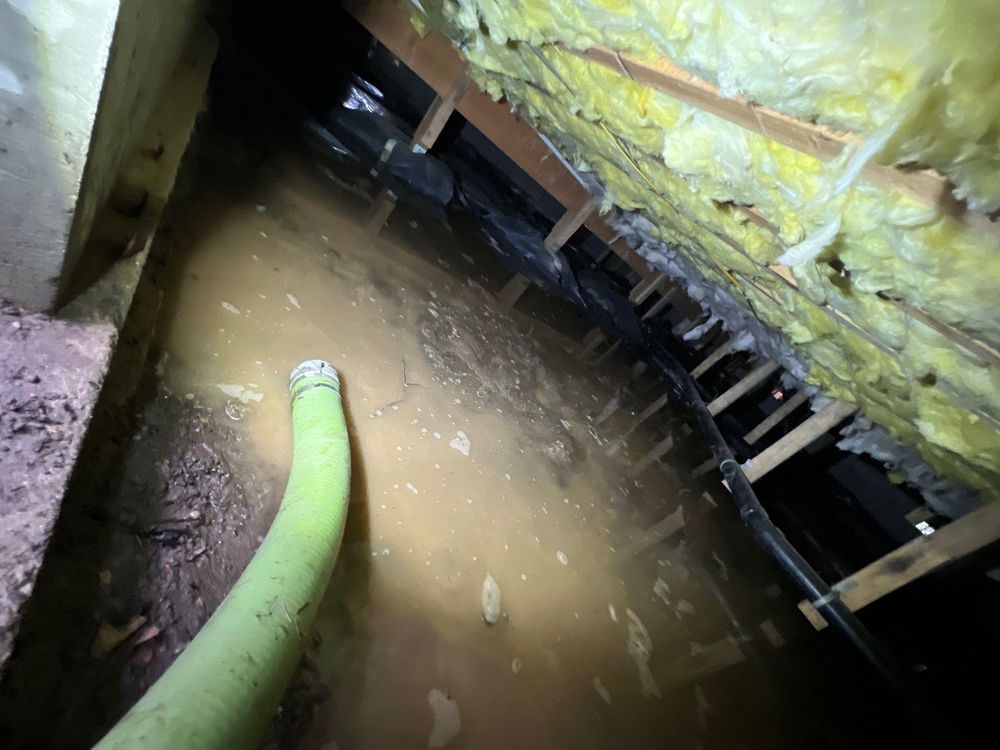 All Photos for No Fear Restoration in Port Angeles, WA