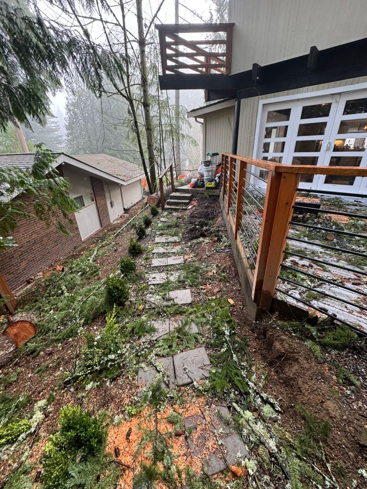 All Photos for Tony's Remodeling & Painting in Renton, WA