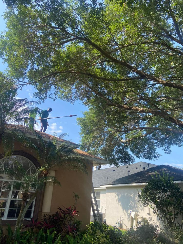 All Photos for Efficient and Reliable Tree Service in Lake Wales, FL