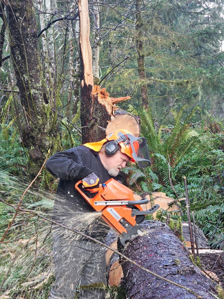 Tree Removal for Trio Tree Services in Ocean Park, WA