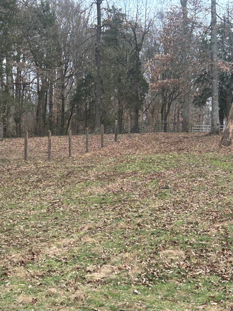 All Photos for Miller Farms Hay & Land Management in Knoxville, TN