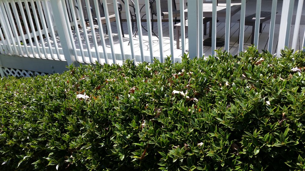 All Photos for Mancinas Home Improvement, Landscaping, & Lawn Care in Fayetteville, NC