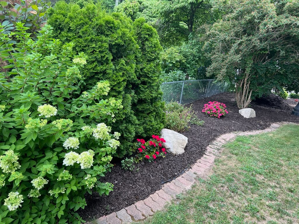 Phillips Lawn Services team in Ravenna, MI - people or person