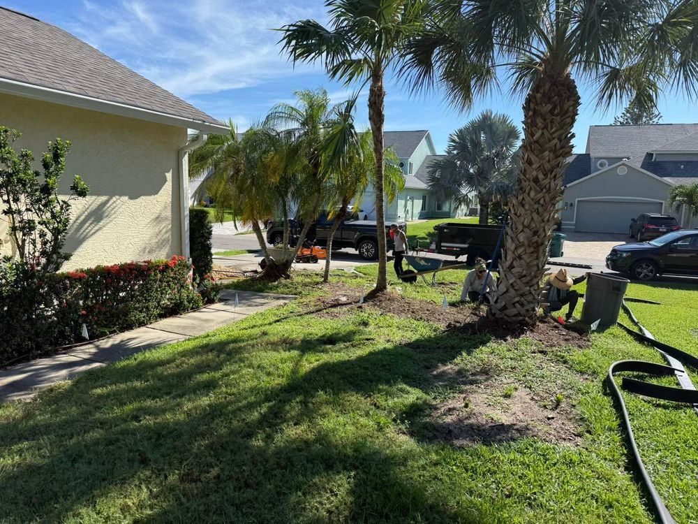 All Photos for Florida Pro Turf in Rockledge, FL