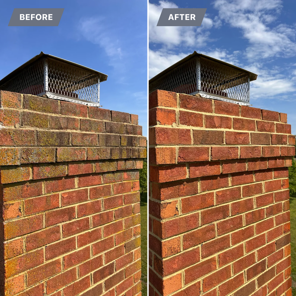 All Photos for LeafTide Solutions in Richmond, VA