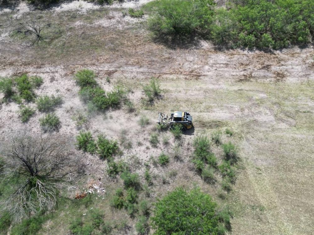 All Photos for Hernandez Land Clearing Services in Alice, TX