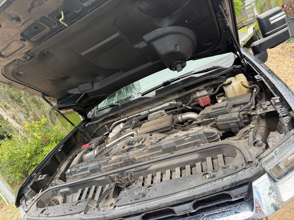 All Photos for Shine My Ride Auto Detailing  in Orlando, FL