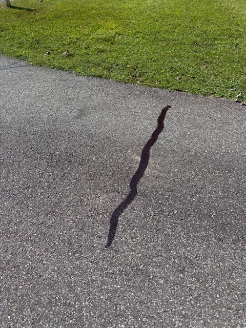 All Photos for One and Done LLC in Locust Grove, VA