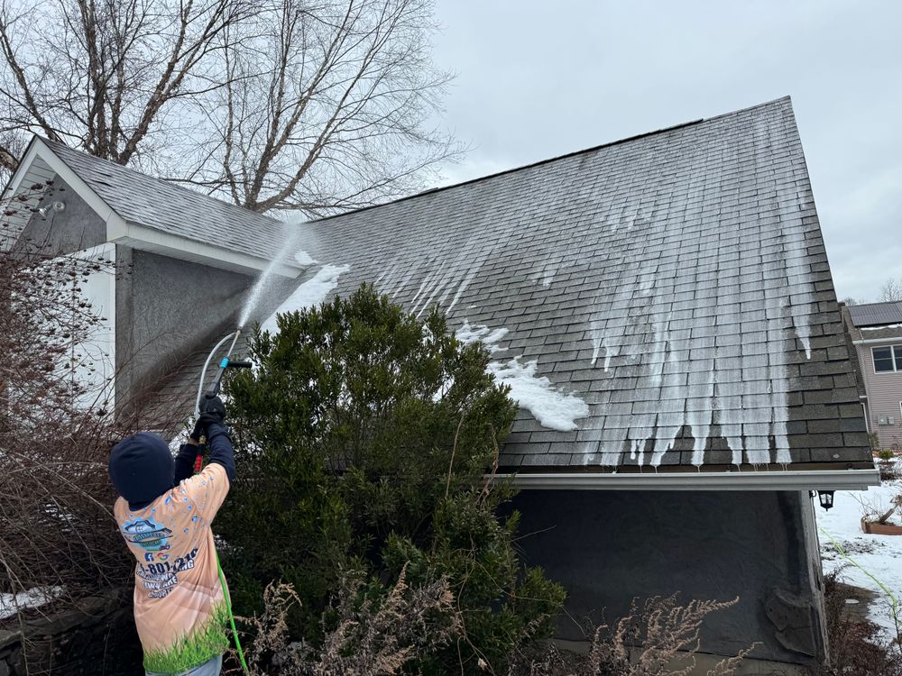 Our Roof Cleaning service removes dirt, moss, and debris from your roof to enhance its appearance and prevent damage, ensuring a well-maintained exterior for your home. for Triscape LLC  in Port Jervis, NY