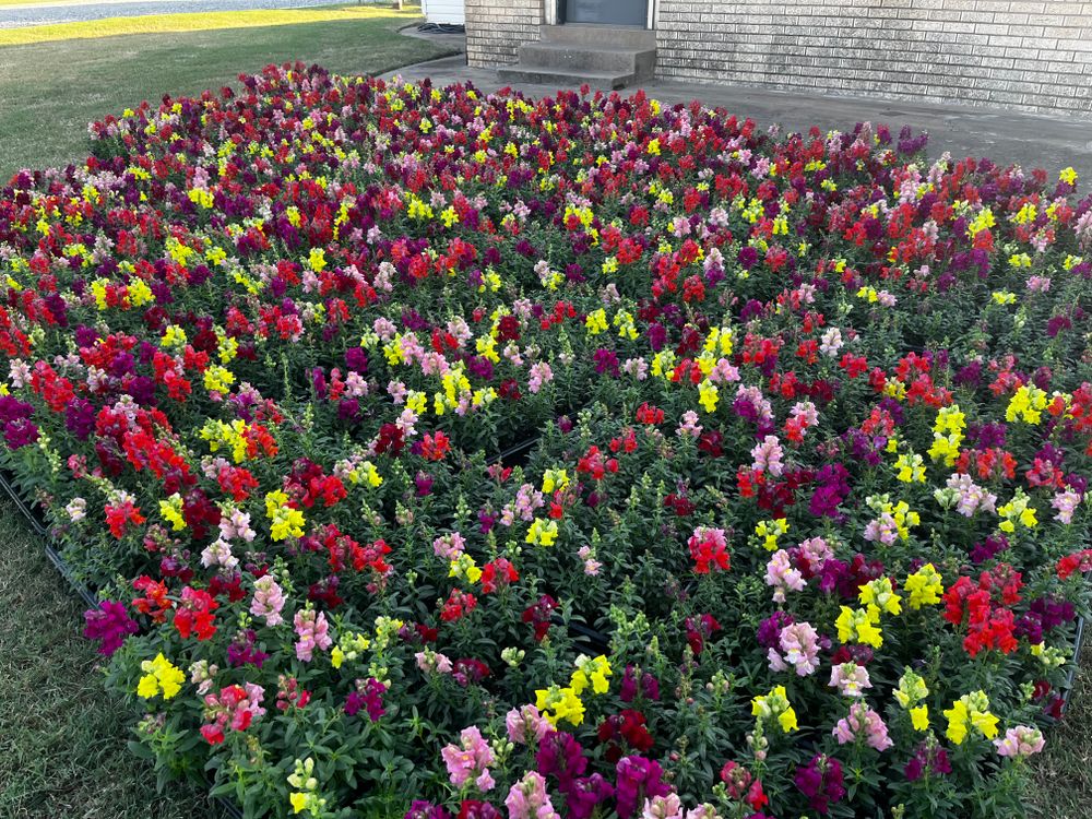 Seasonal Color for Urban Lawn & Landscape in Oklahoma City, OK