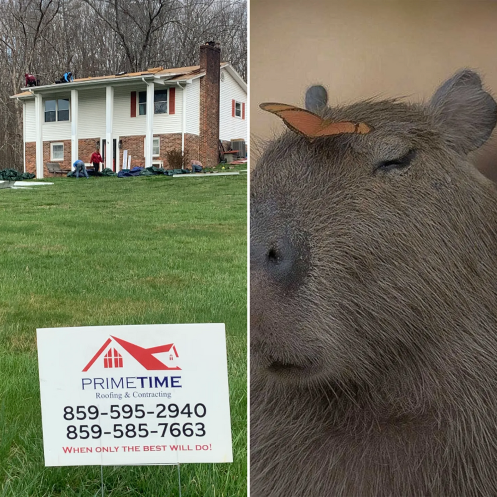 All Photos for Down Dog Yoga in Boston, MA